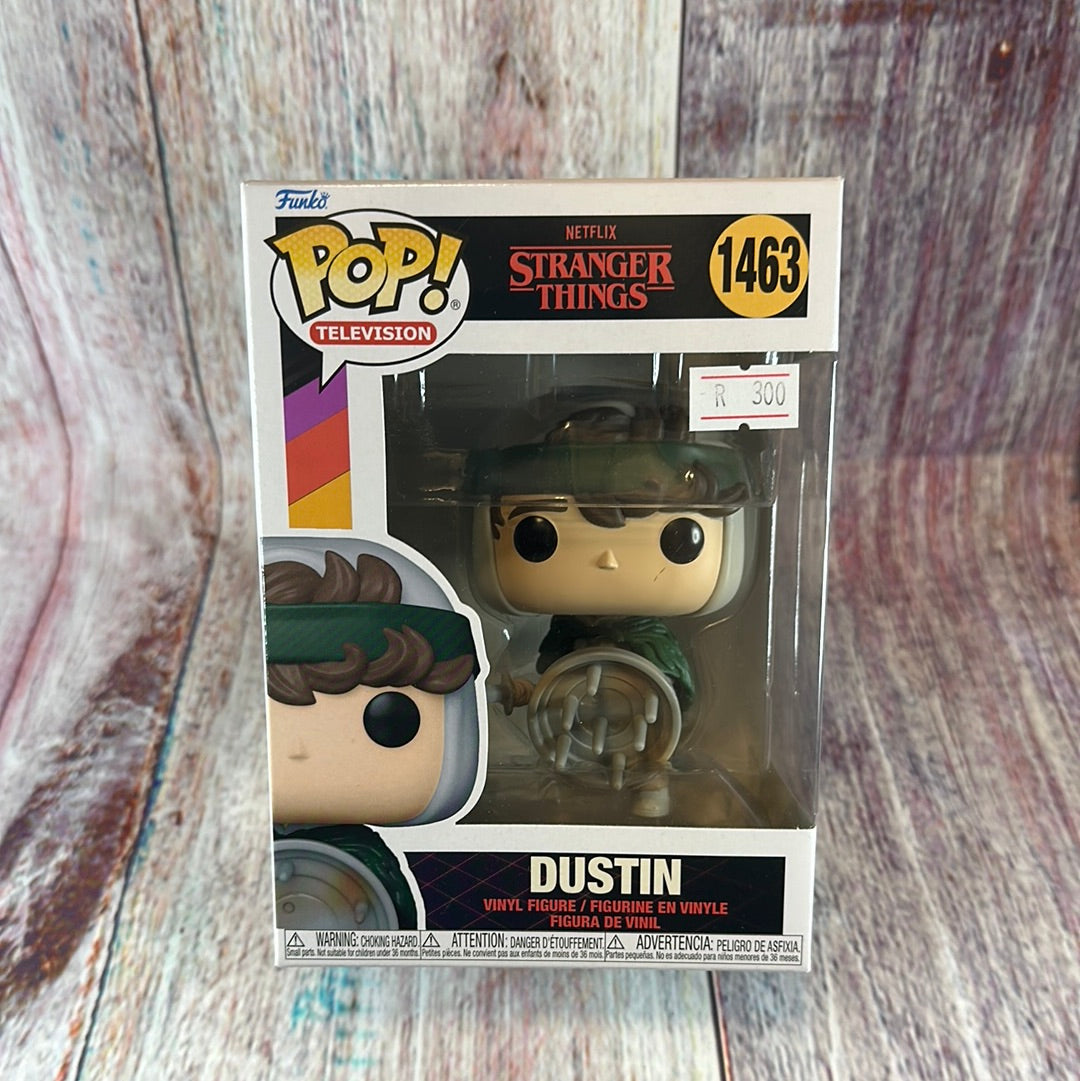 1463 Stranger Things, Dustin