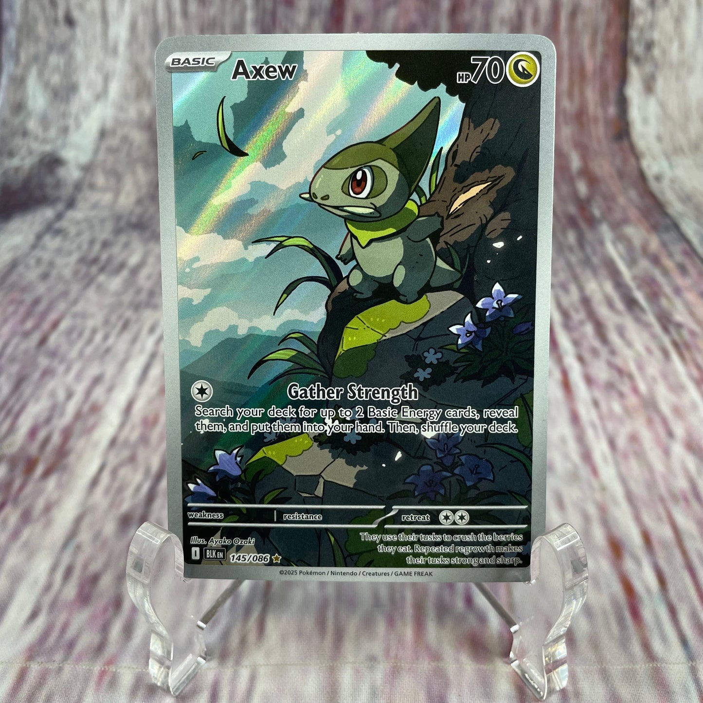 145/086 - Axew (NM/M)