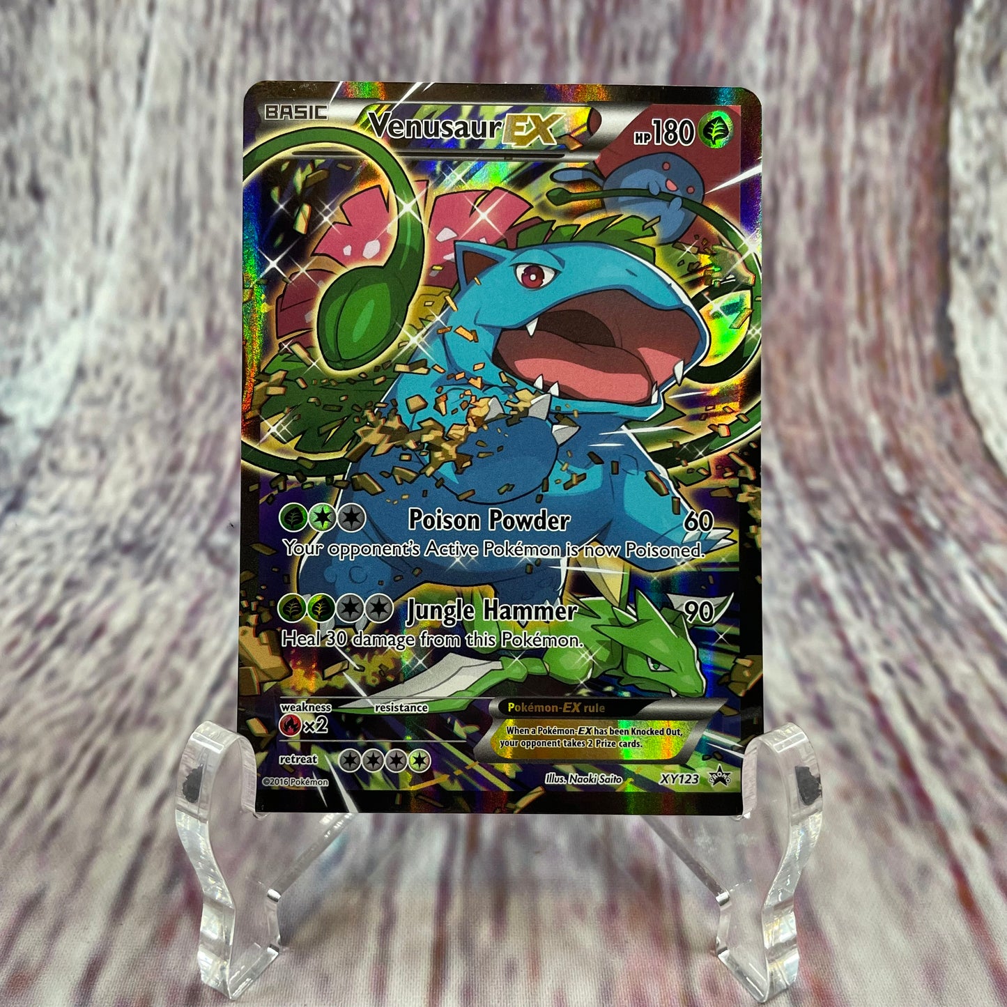 XY123 - Venusaur EX (DMG)